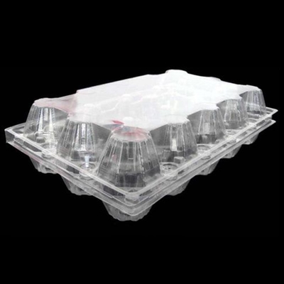 15packs beschikbaar Dienblad 71mm Vierkant Ei Tray Holder van het HUISDIEREN Duidelijk Plastic Ei
