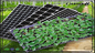 De Pottenps van de vloerboeg de Zwarte Plastic Zaailing Tray With Dome For Microgreens van pvc
