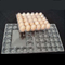 15packs beschikbaar Dienblad 71mm Vierkant Ei Tray Holder van het HUISDIEREN Duidelijk Plastic Ei