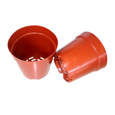 Rode Harde die PE om de Potten van 1 Gallonkinderdagverblijf met Plastic Dienblad met een laag wordt bedekt