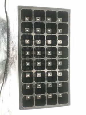 2 mm dikke 32-cels plastic zaaitray voor bosbomen - verouderingsbestendig en duurzaam