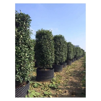 Op maat gemaakte plastic lucht snoeiende wortelpot Grote plantenpot Cylindervorm