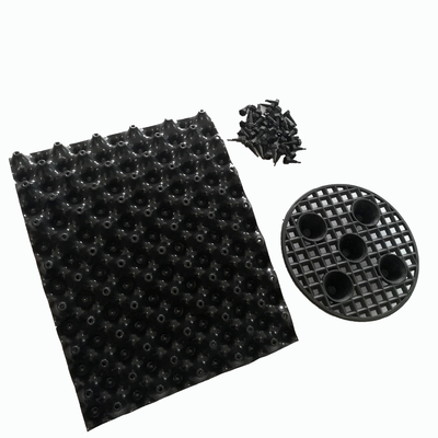 Europa Design Stijl Grote boom sneller groeien pot Plastic plant pot van de fabriek