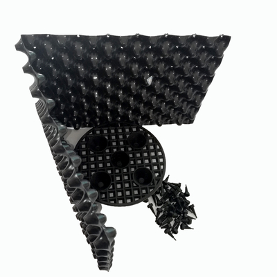 Europa Design Stijl Grote boom sneller groeien pot Plastic plant pot van de fabriek