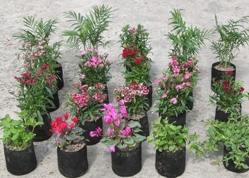 Hydroponisch groeisysteem Plastic Grow Bags Soft Generate Peony Flower Nursery Bag