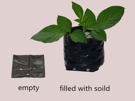 Hydroponisch groeisysteem Plastic Grow Bags Soft Generate Peony Flower Nursery Bag