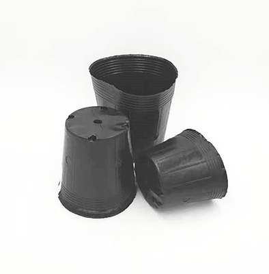 Groothandel Zwart Plastic Soft Blister Flower Seeds Pot For Tree