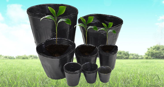 Hydroponische zachte plastic plantenpot waterkrets pot licht gewicht
