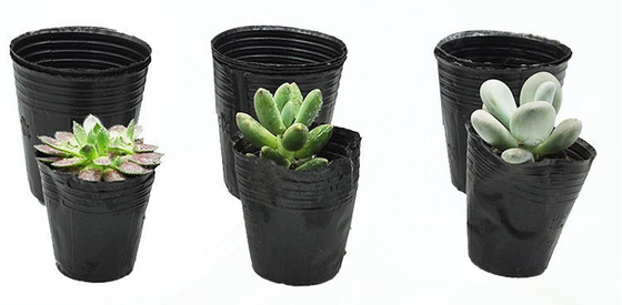 Hydroponische zachte plastic plantenpot waterkrets pot licht gewicht
