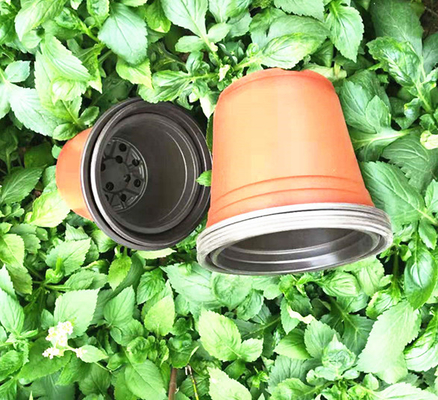 Eenmalige dubbelkleurige bloempot voor kas en tuin