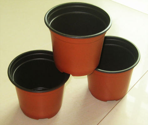 Warm verkoop Ronde doos Zacht Hydroponisch Vers Bloempot Verouderingsbestendig