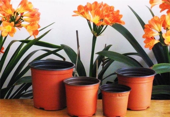 Warm verkoop Ronde doos Zacht Hydroponisch Vers Bloempot Verouderingsbestendig