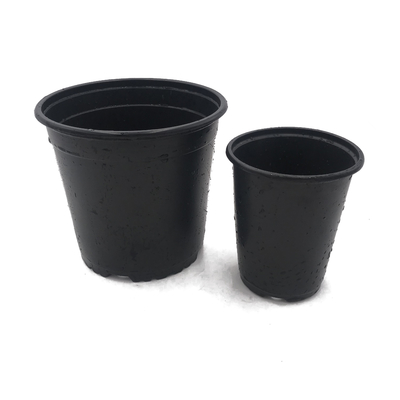 Lichte en zachte zwarte dubbelkleurige plastic bloempotten Chive shoot zaaizaadpot voedingspot