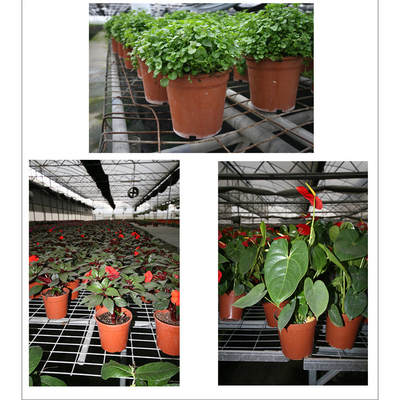 Lichte en zachte zwarte dubbelkleurige plastic bloempotten Chive shoot zaaizaadpot voedingspot