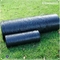 Pp Geweven 4mm Plastic HDPE van de Landschapsstof Antionkruid het Tuinieren Mat