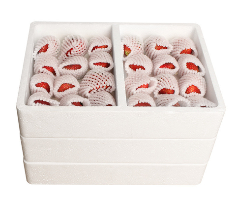 Foambox Custom Poly Dragon EPS Foam Lining Custom Positioning Packaging Foam Box Custom Foam Factory