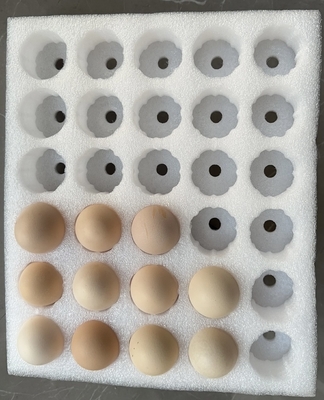 EPE eierenbak Fragiele producten Perlen katoen Verpakking Bescherming Custom