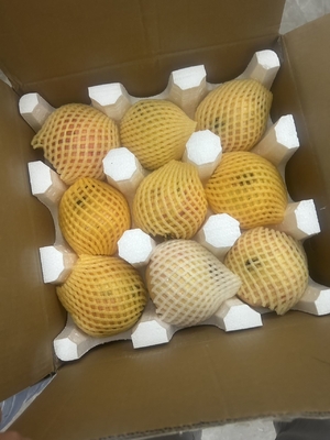 Bescherming van bubbelverpakking EPS breekbare goederen verpakking op maat
