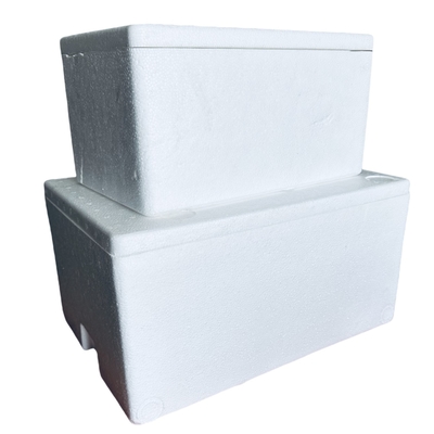 Foam EPS Incubator Koudketen Transport Doos Aanpassing Seismische weerstand