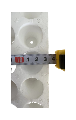 160 gaten rond gaten schuim zaadplaat EPS zaadplaat aanpassing