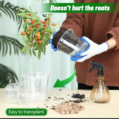 Doorzichtige orchidee pot met UV-bestendige coating