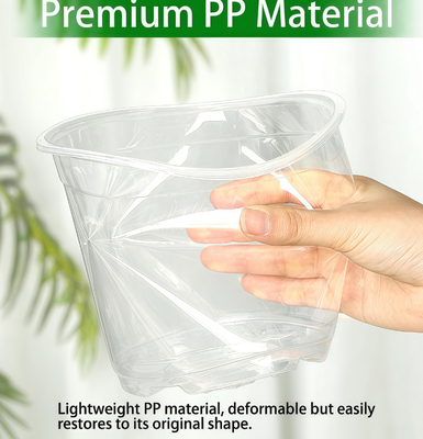 Doorzichtige orchidee pot met UV-bestendige coating