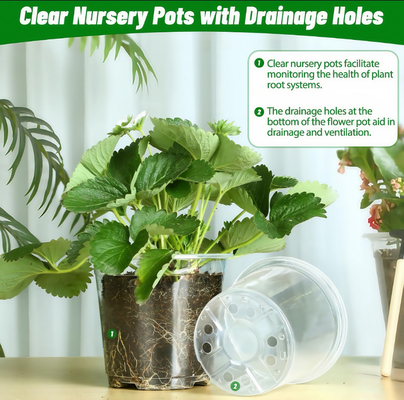 Doorzichtige orchidee pot met UV-bestendige coating