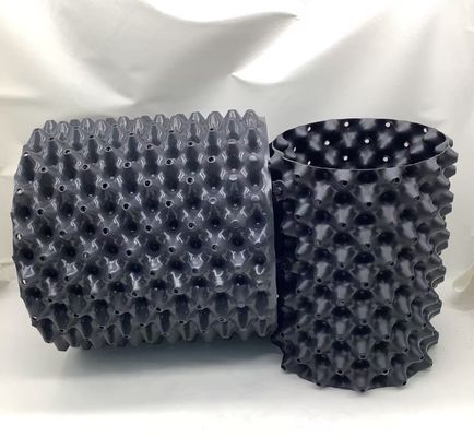 HDPE, blauwe pruimenbloesem pot