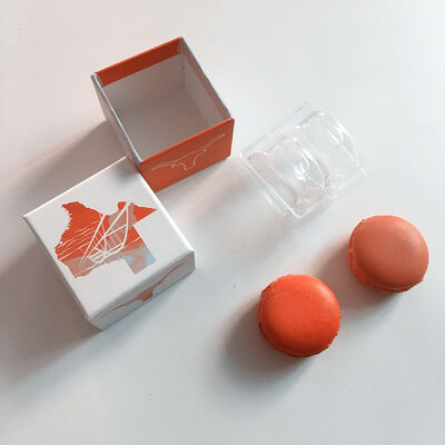Milieuvriendelijke Macaron-plastic lade met op maat gemaakte bedrukking en transparant ontwerp voor voedselverpakkingen