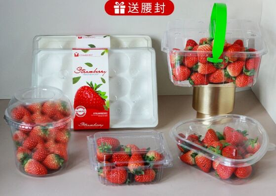 Customizable Recyclable PET Blister Packaging with Heat Sealing for Small Tomato and Grape Packaging