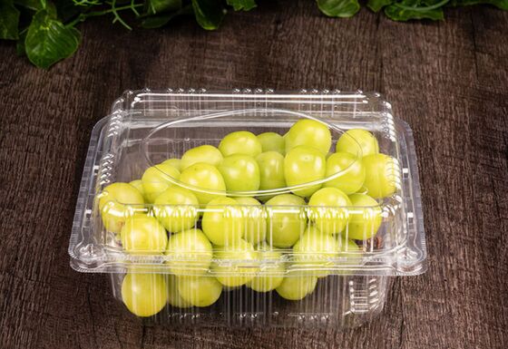 Aanpasbare Recyclebare PET Transparante Fruit Verpakking Doos met Hitteafdichting voor Druiven en Tomaten