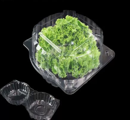 Persoonlijk ontworpen recyclebare PET-plastic blisterverpakking met hitteverzegeling voor fruitverpakkingsdoos