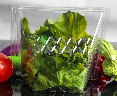 Persoonlijk ontworpen recyclebare PET-plastic blisterverpakking met hitteverzegeling voor fruitverpakkingsdoos