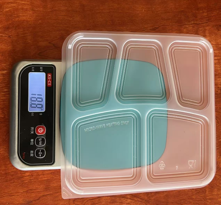 5 DIVISION PLASTIC CONTAINERCOLOR