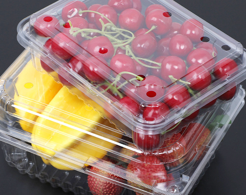 Customized disposable fresh fruit cutting box with transparent lid and compartmentalized fruit packaging box made of PET fruit plastic packing box