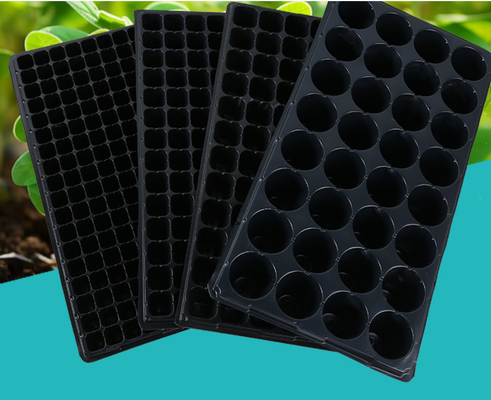 zaadplaat zaad startplaat zaadplaat zaadplaat planten groeiplaat zaadplaat