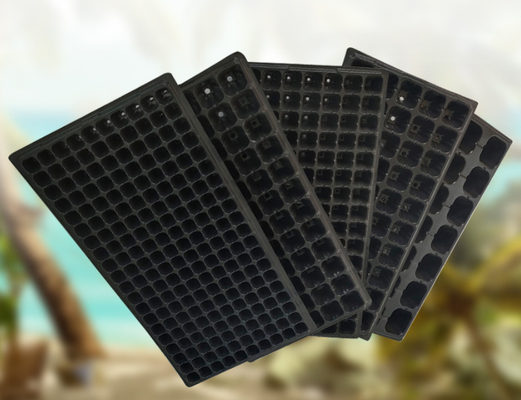 21 zaailingentray, zaailinghouders, plastic zaailingentrays zaailingtray zaadstarttray zaailingstarttray