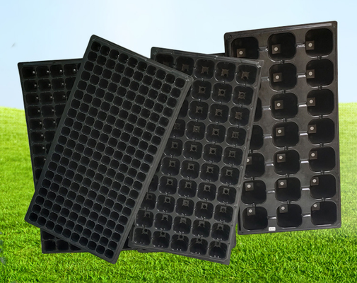 zaadplanterschaal zaadstarterplaat Plastic zaadplanterschaal