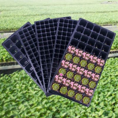 seed starting tray,plastic seed tray,nursery tray,plug tray,seedling tray