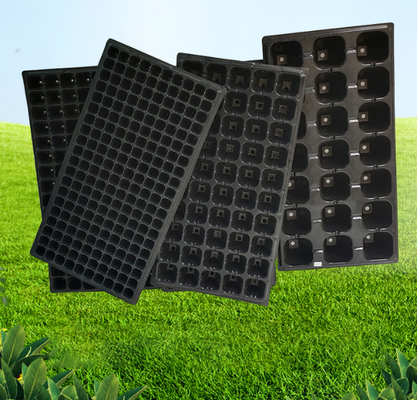 21-cels 32-cels 50-cels 128-cels 200-cels zaailingpotten en traycellen met diepere en dikkere wanden; nieuwe materialen op houtbasis; kunststof teelt
