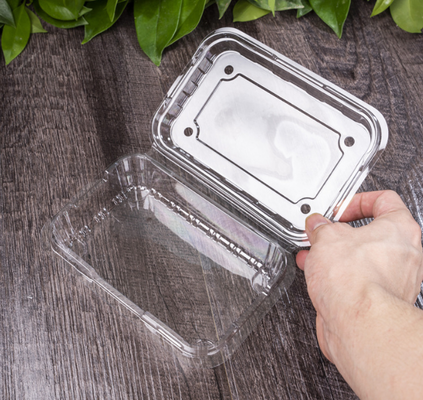 produceert fruitverpakkingen, vleesverpakkingsdozen, groentenverpakkingsdozen, zaailingenbakken, plastic bloempotten, fastfooddozen, evenals transparante PVC-, PP-, PET-dozen en gedrukte dozen.