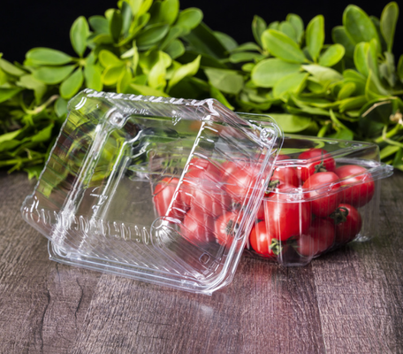 Eenmalig fruitdoosje - watermelon- en aardbeienverpakkingsdoosje van levensmiddelenkwaliteit - lunchfruitkas - eenmalig transparant verpakkingsdoosje