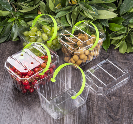 Fruitverpakkingen, vleesverpakkingsdozen, groentenverpakkingsdozen, zaailingenbakken, plastic bloempotten, fastfooddozen, evenals transparante PVC-, PP-, PET- en gedrukte dozen.