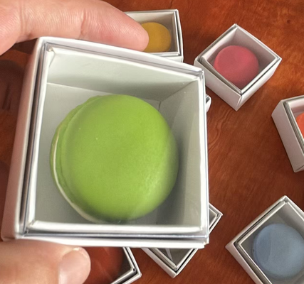 Milieuvriendelijke Macaron-plastic lade met op maat gemaakte bedrukking en transparant ontwerp voor voedselverpakkingen