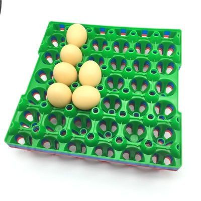 9pcs stapelbare Plastic Eihouder 152mm Vierkant Incubatorei het Plaatsen Dienblad