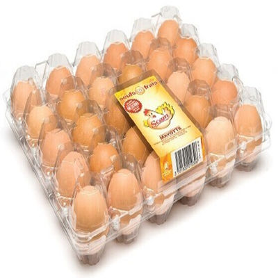 Geschikte 8pcs 0.7mm van het het Eikarton van pvc Plastic van het het Vervoerei de Incubatordienblad
