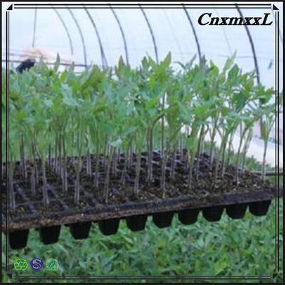 2 mm dik 32 50 98 108 118 200-cellen plastic zaadbak voor bosbomen - verouderingsbestendige en duurzame