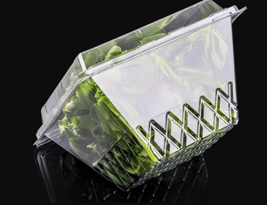 Op Maat Ontworpen Recyclbaar PET Blisterverpakking met Hitteafdichting voor Transparante Fruitverpakking