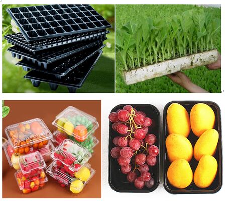 Op maat gemaakte, recyclebare PET-plastic blisterverpakkingen met warmteverzegeling voor verse producten